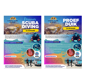 Flyer Design by DA. for AB Dive | Design: #29641428