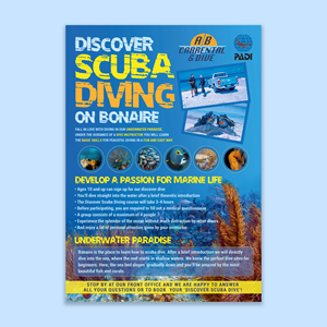 Flyer Design by Inventive Design for AB Dive | Design: #29642864
