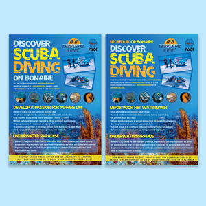 Flyer Design by Inventive Design for AB Dive | Design: #29644633