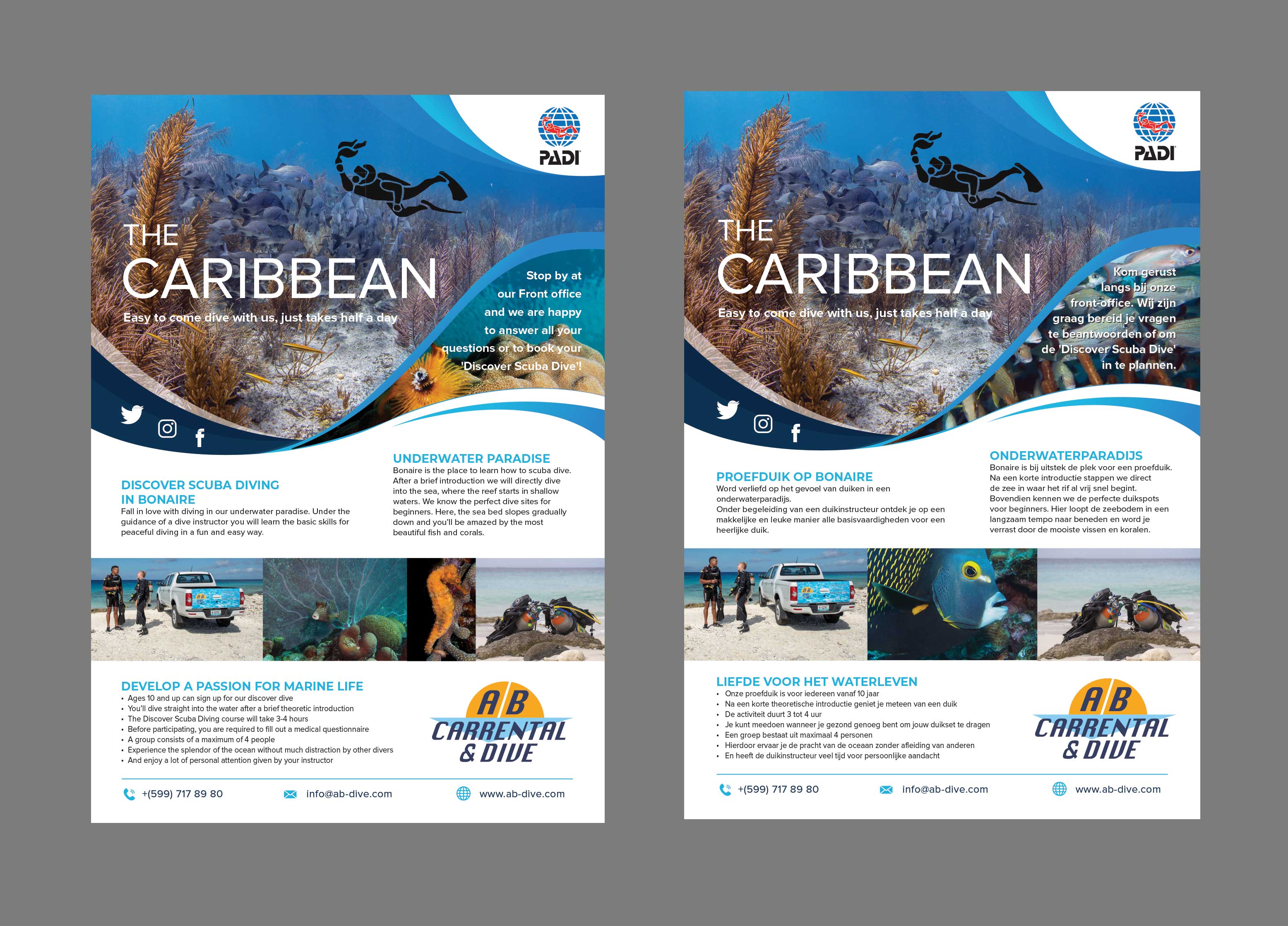 Flyer Design by Creative D2024 for AB Dive | Design #29652083
