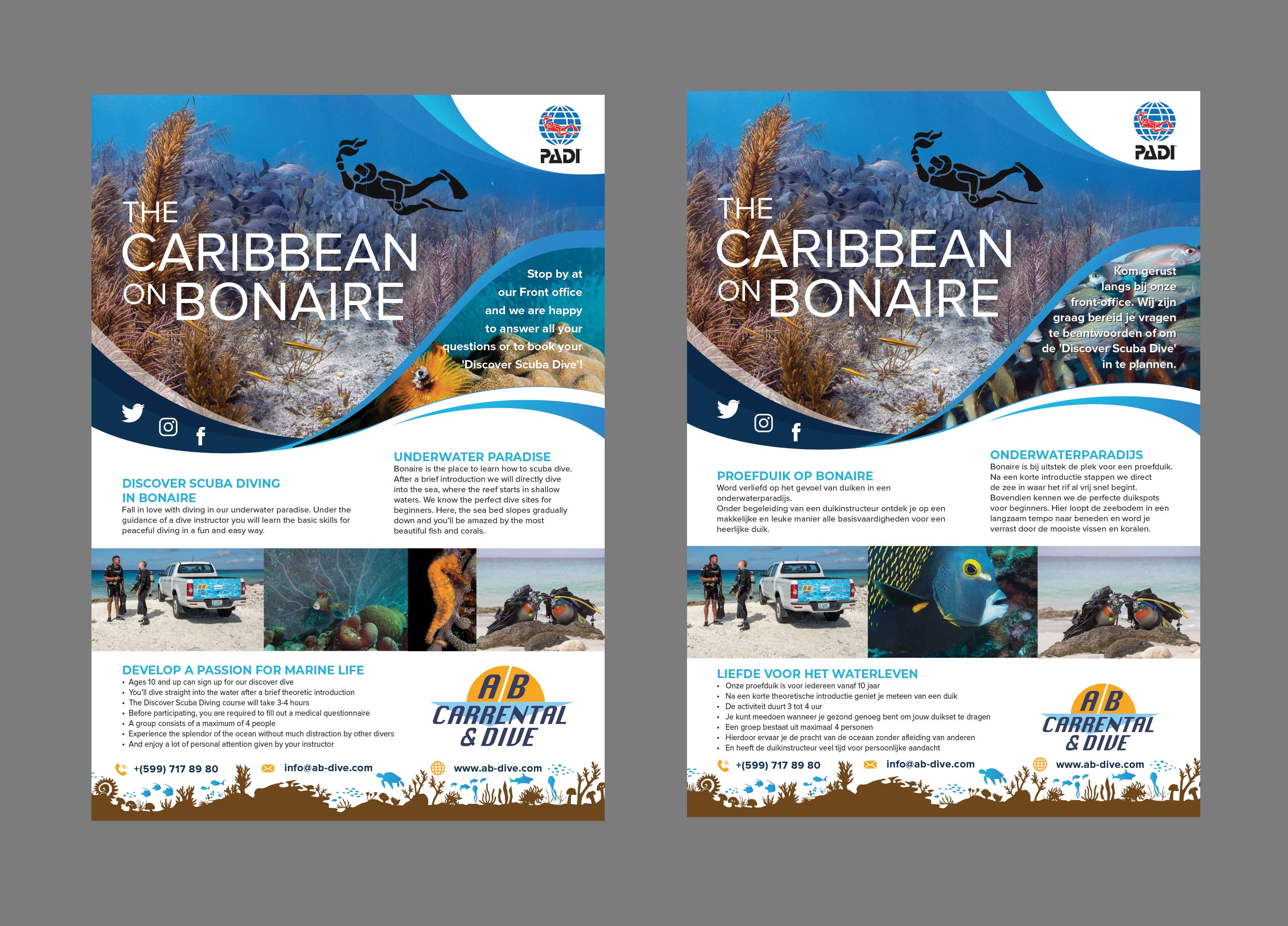Flyer Design by Creative D2024 for AB Dive | Design #29652084