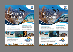 Flyer Design by Creative D2024 for AB Dive | Design: #29652084