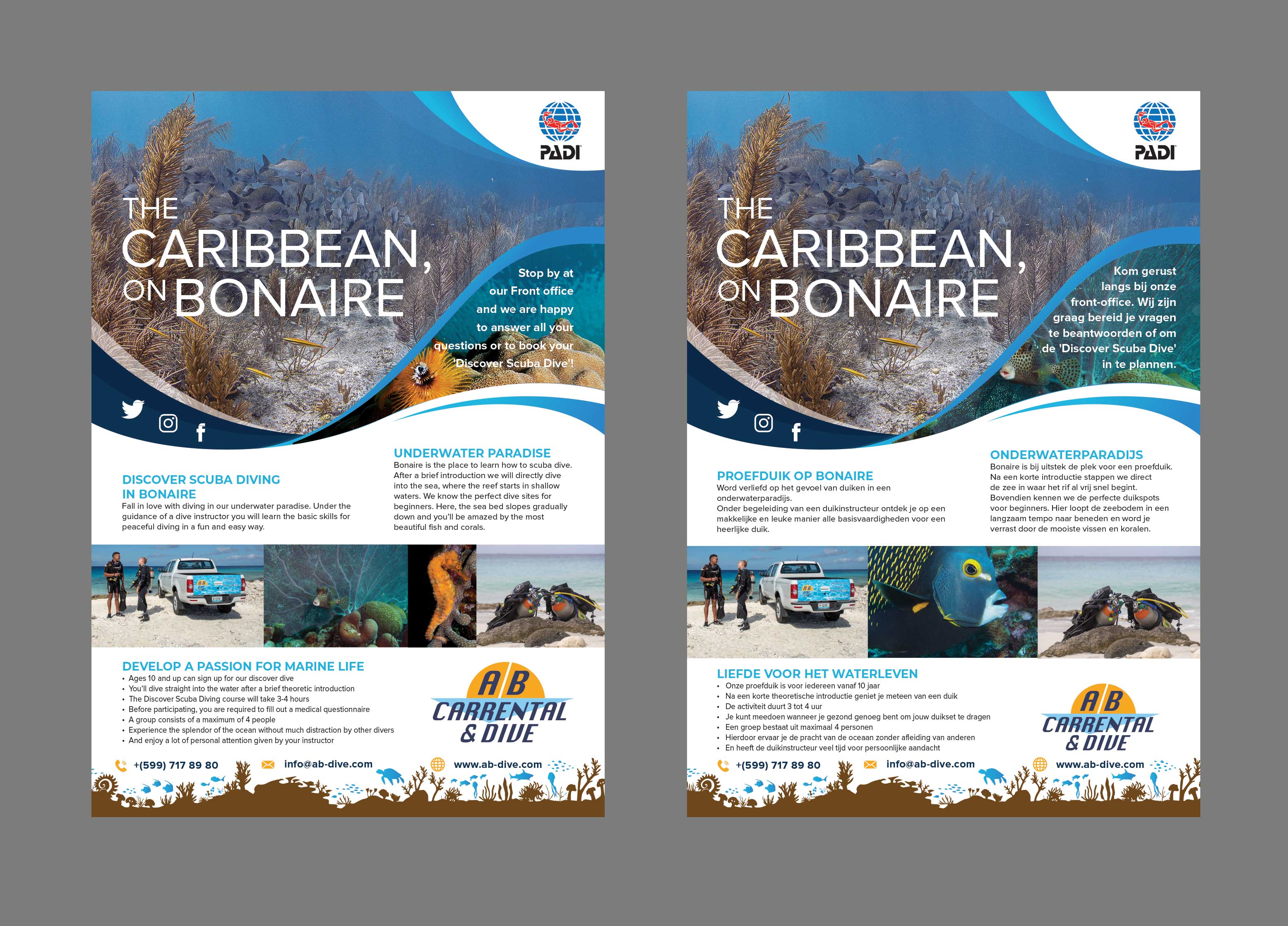 Flyer Design by Creative D2024 for AB Dive | Design #29654024