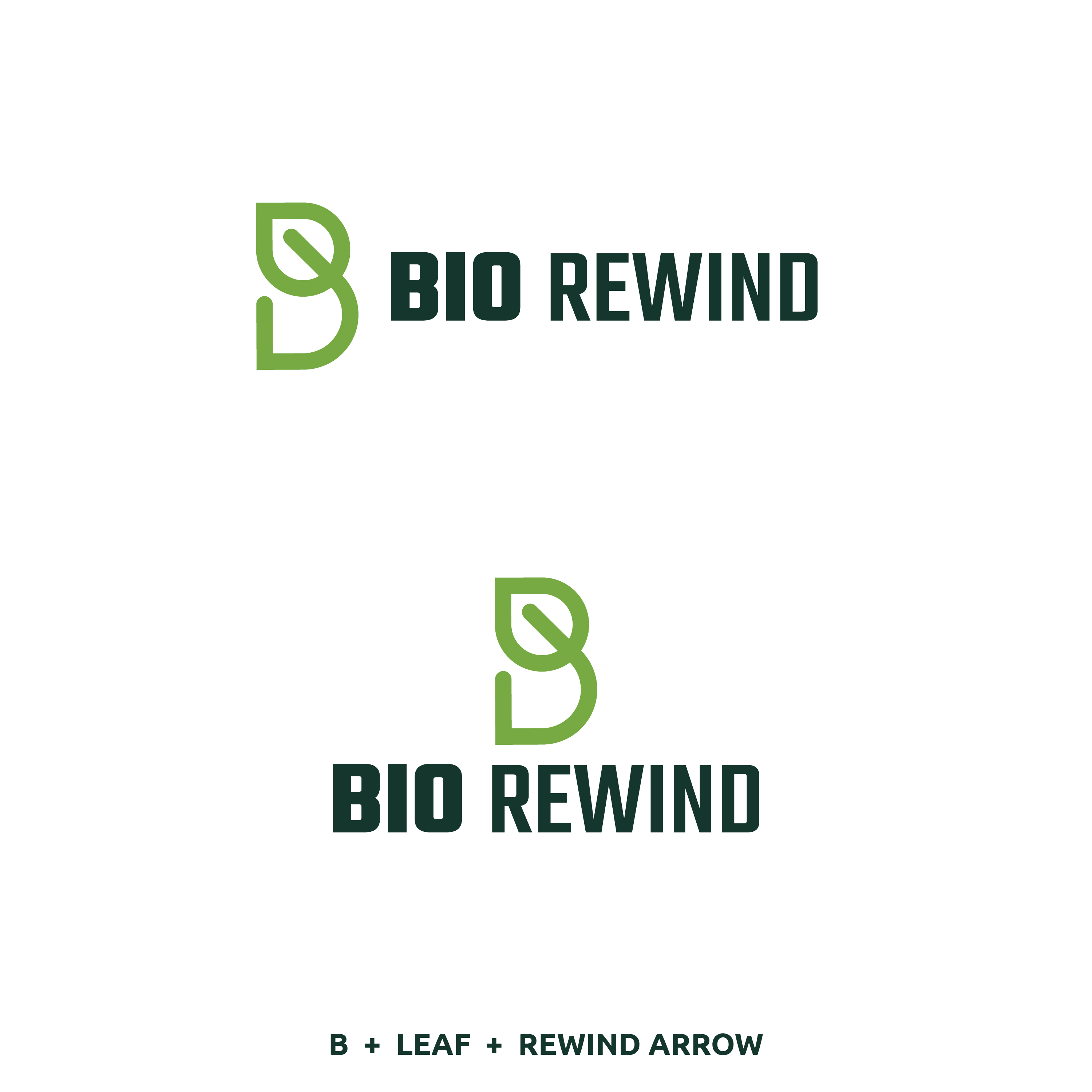 Logo Design by Arun 25 for this project | Design #29667331