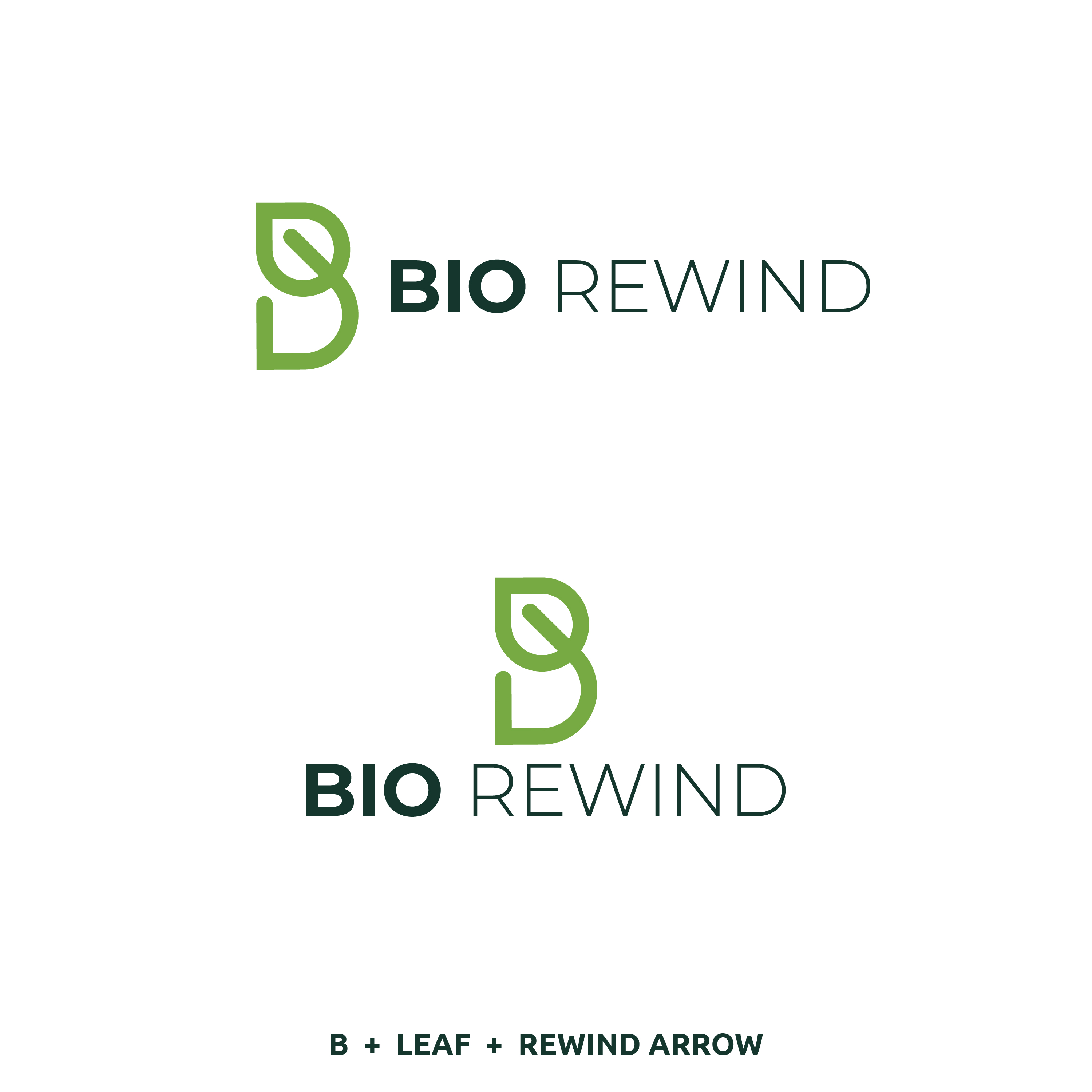 Logo Design by Arun 25 for this project | Design #29667332