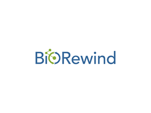 Logo Design by BNdesigner for this project | Design: #29651719