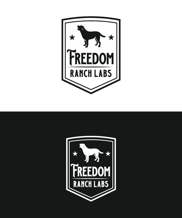 Logo-Design von Anton für dieses Projekt | Design #29676152