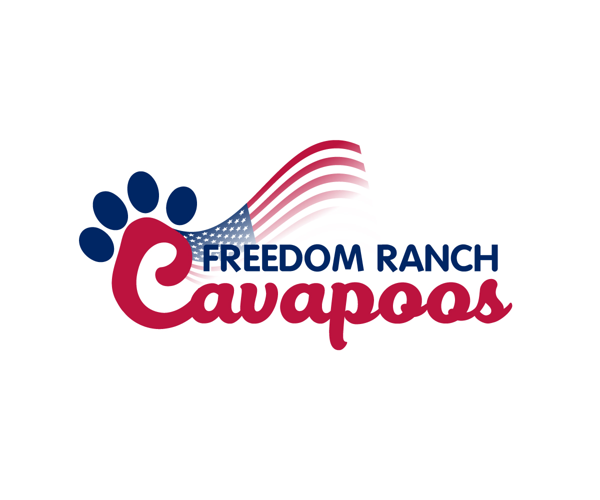 Logo Design by Paint-Tools for this project | Design #29650138