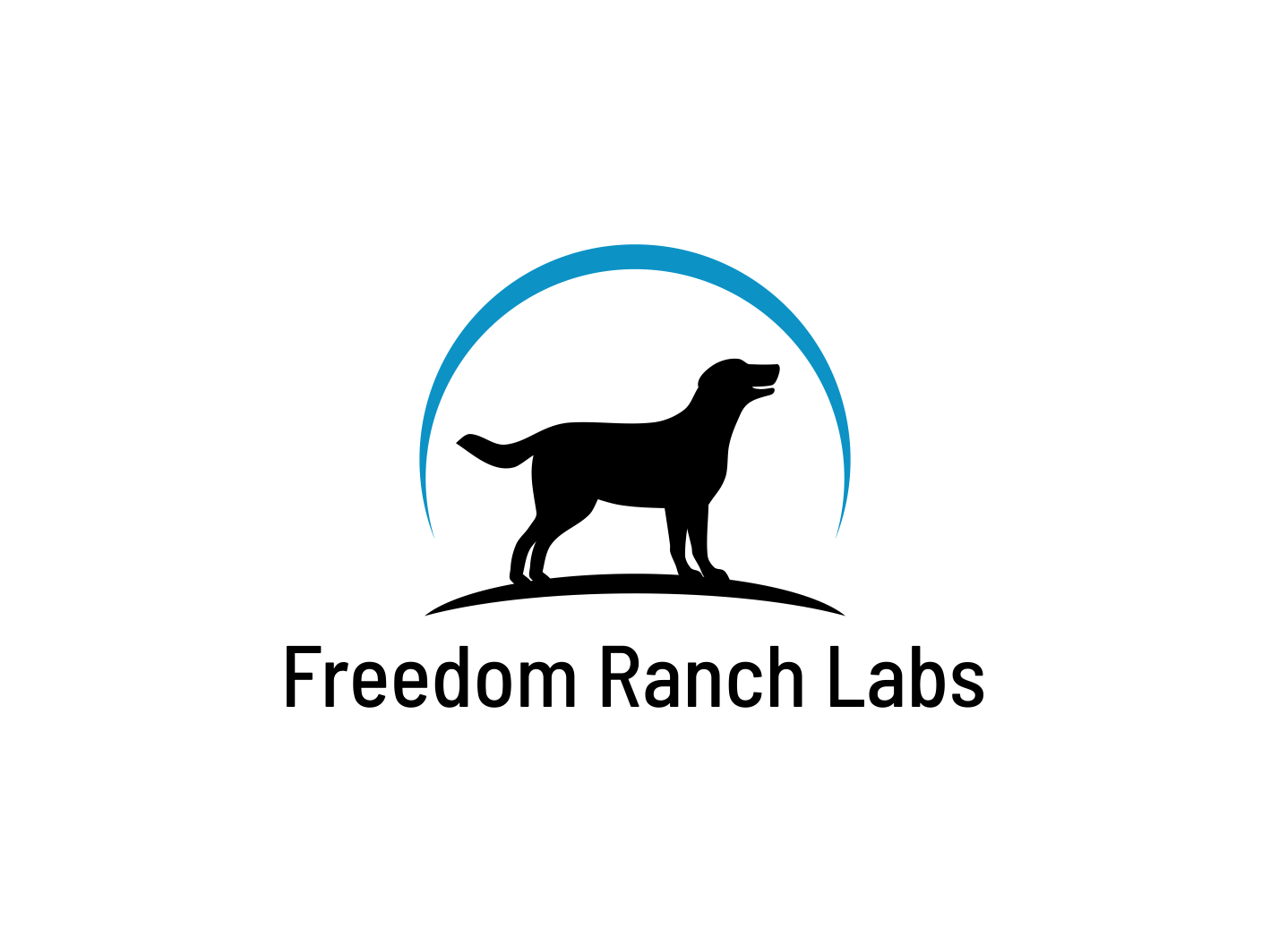 Logo Design by BNdesigner for this project | Design #29660326