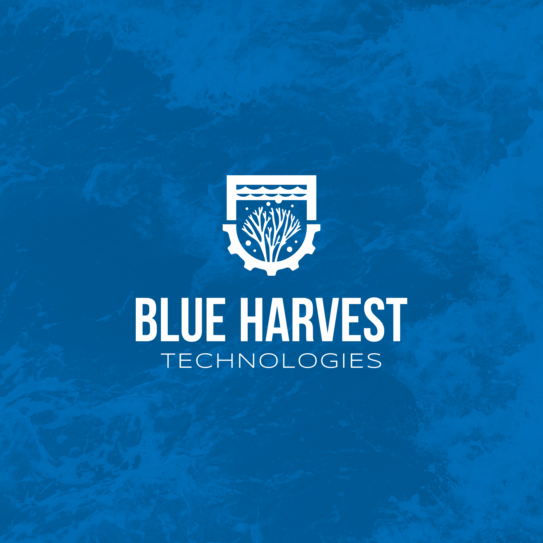 Logo-Design von Oleksandr Tovarkov für dieses Projekt | Design #29648603