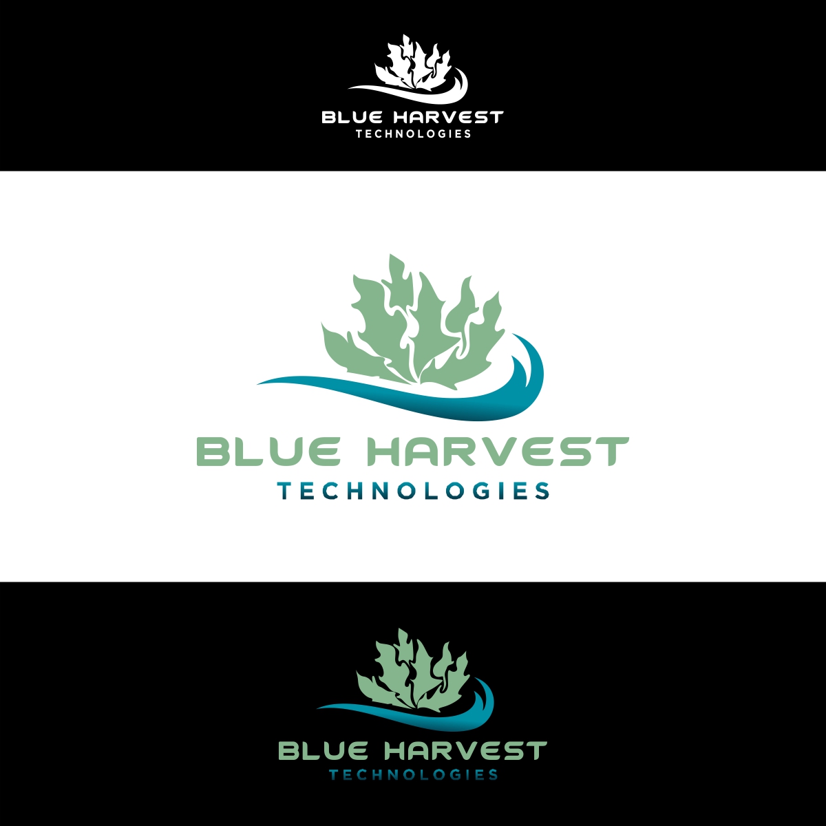 Logo Design by fly  design for this project | Design #29650087