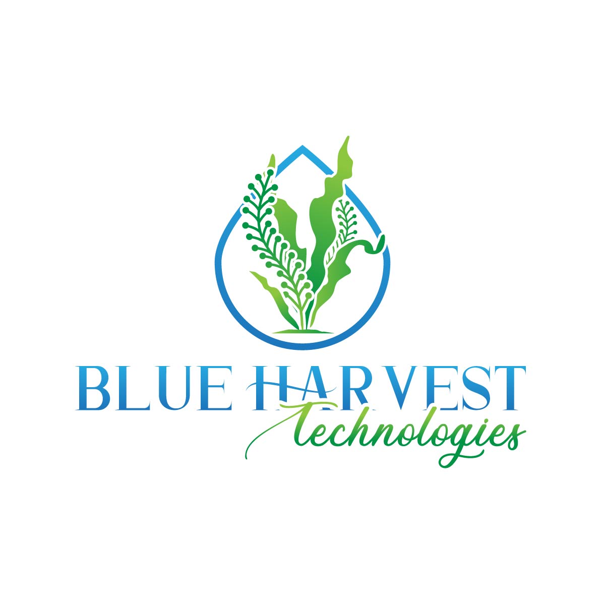 Logo Design by fly  design for this project | Design #29650559