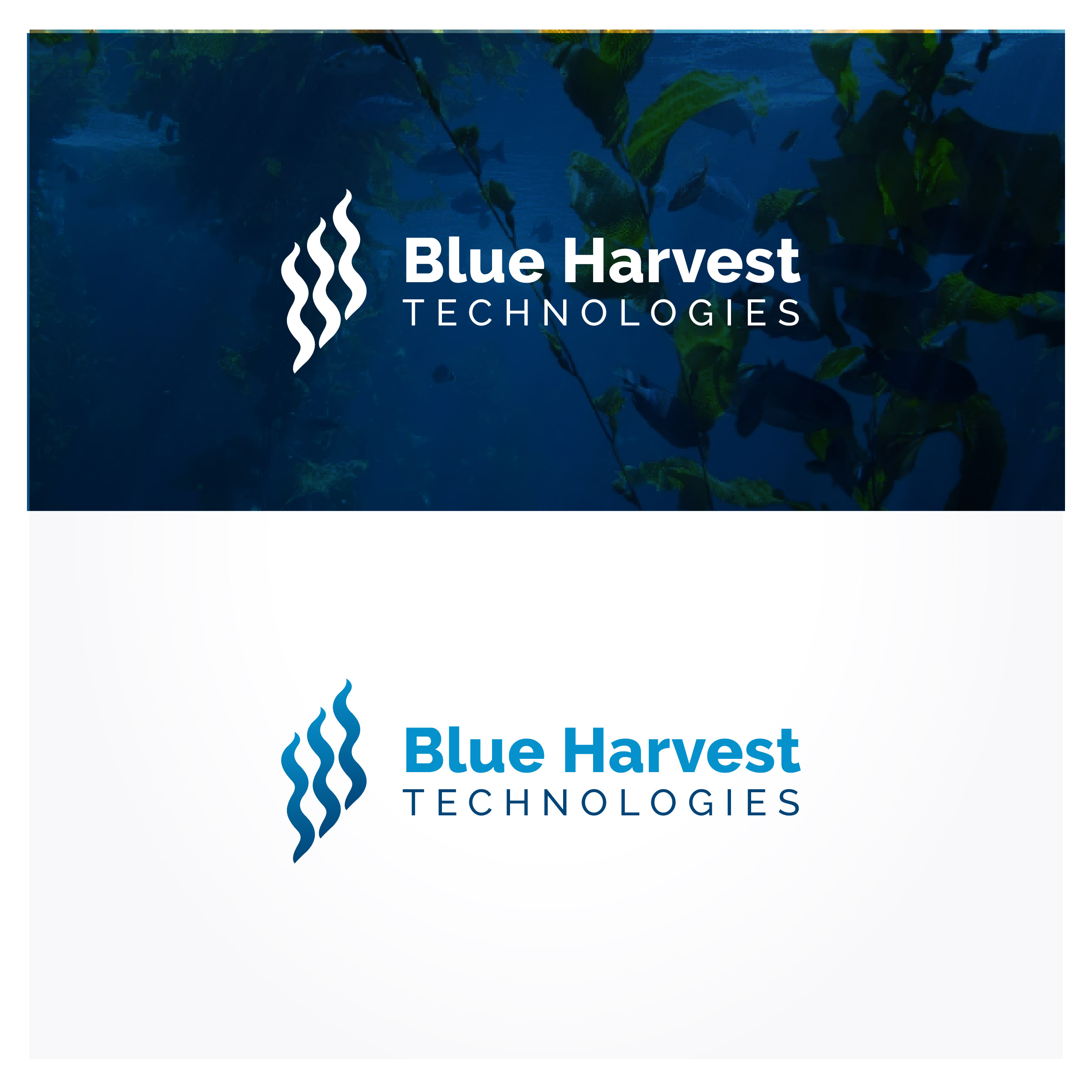 Logo Design by JWTL for this project | Design #29672158