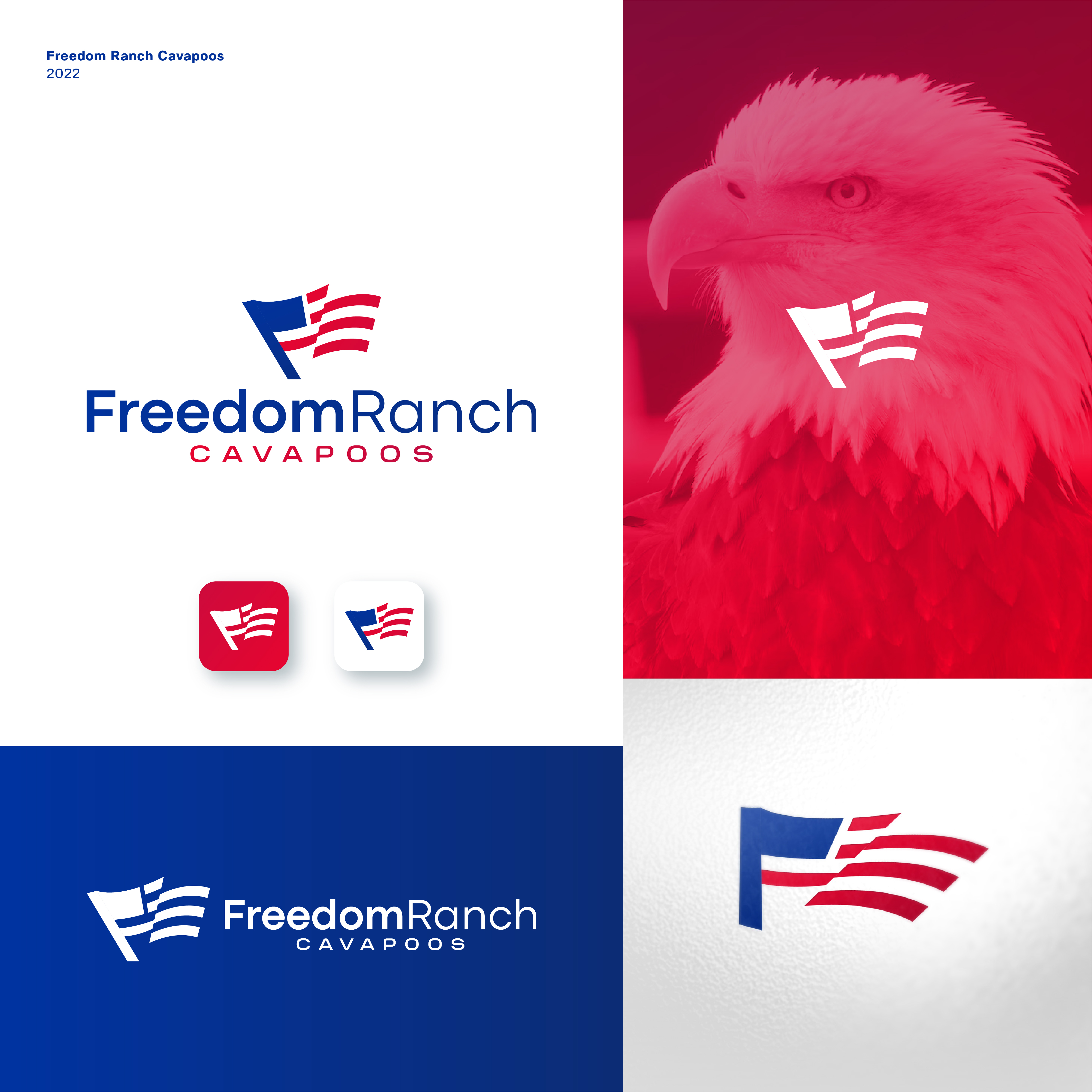 Logo Design by JBalloon Design for this project | Design #29669286