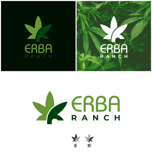 Design de Logo par ICKE pour ce projet | Design : #29658967