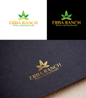 Logo Design by RA-bica for this project | Design: #29649826