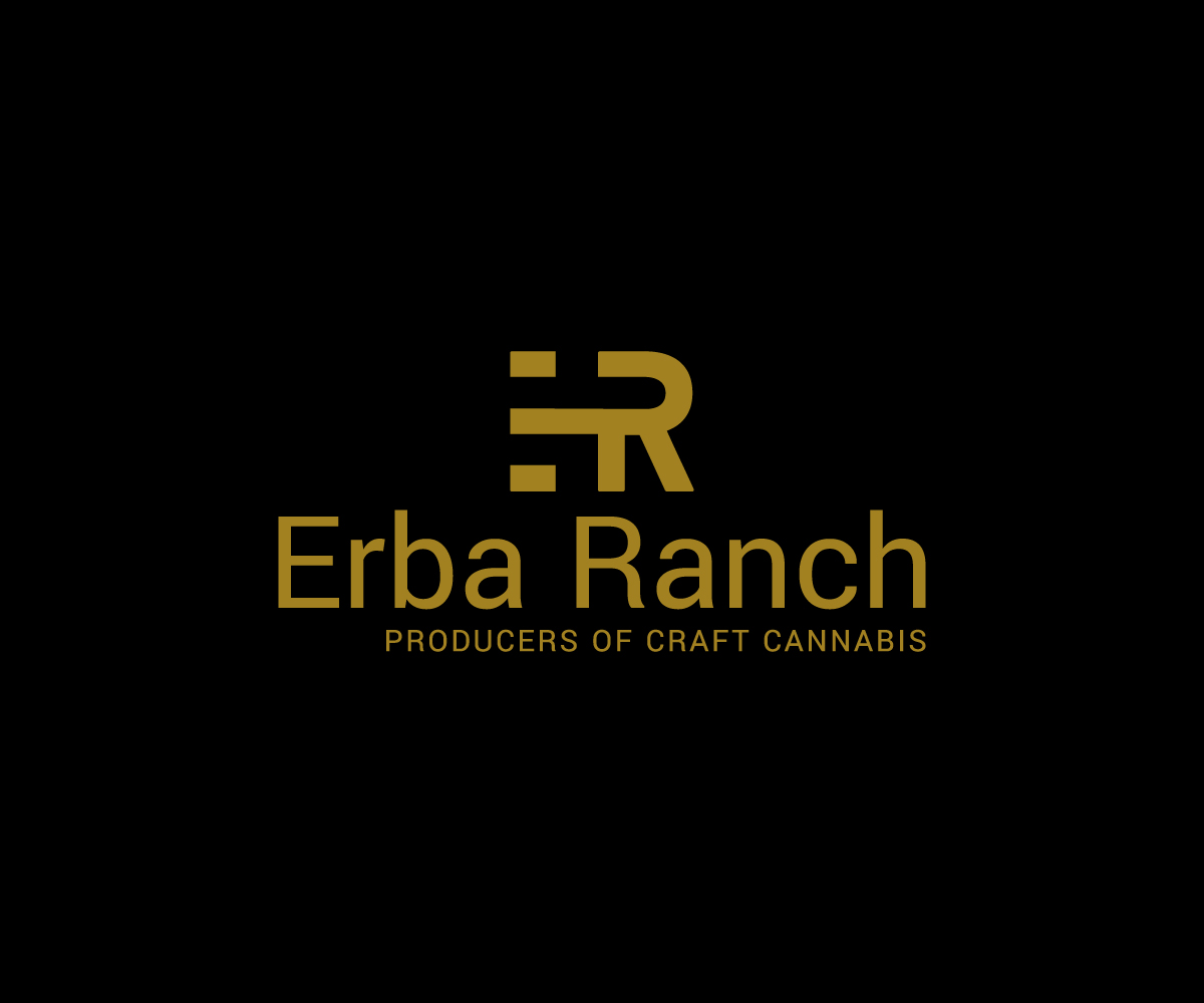 Logo Design by RaKu 2 for this project | Design #29652996