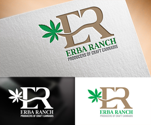 Logo Design by Vishak vasu for this project | Design #29657037