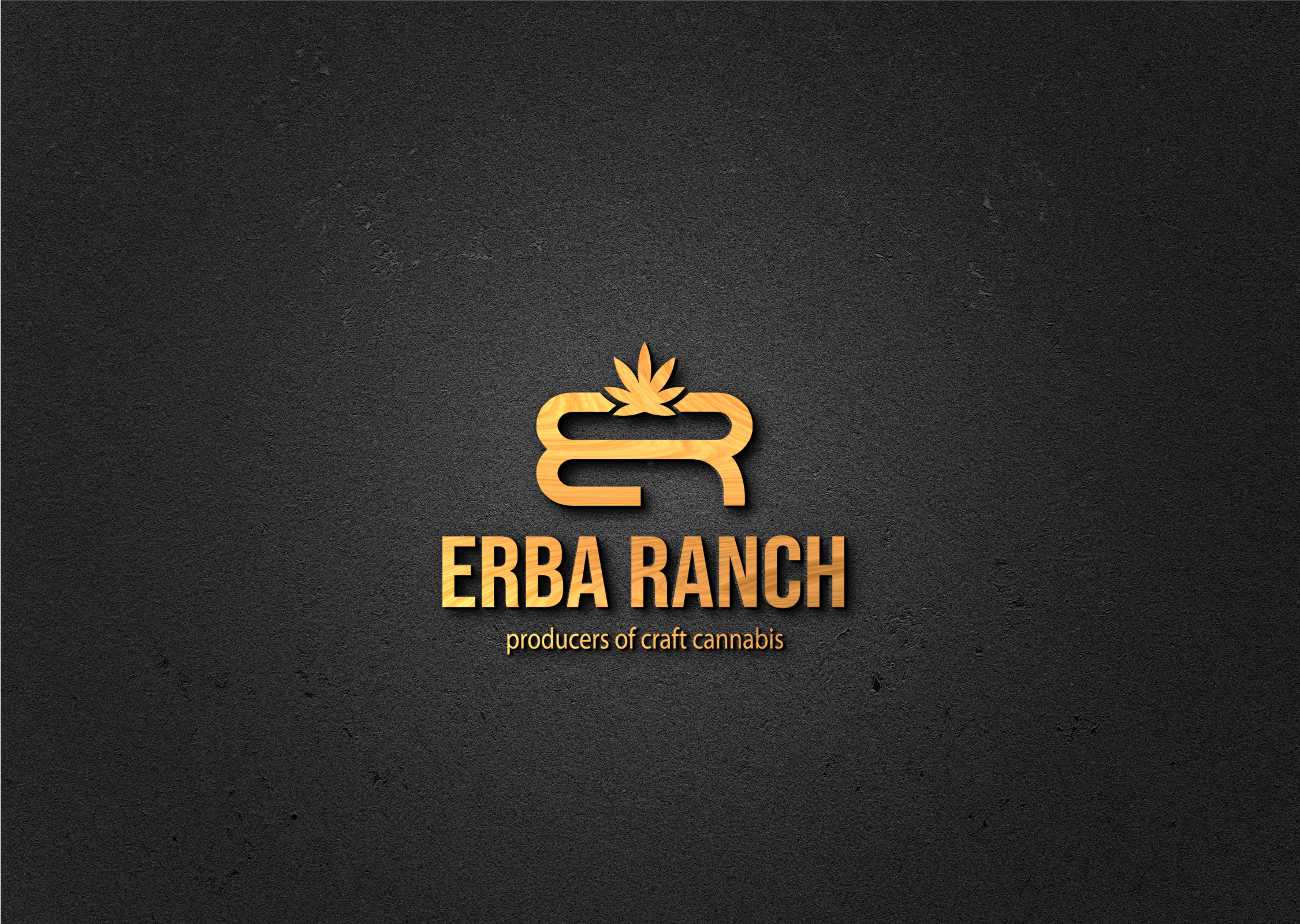 Logo Design by jizzy123 for this project | Design #29651999