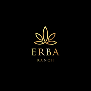 Logo Design by ThiagoB for this project | Design: #29649534