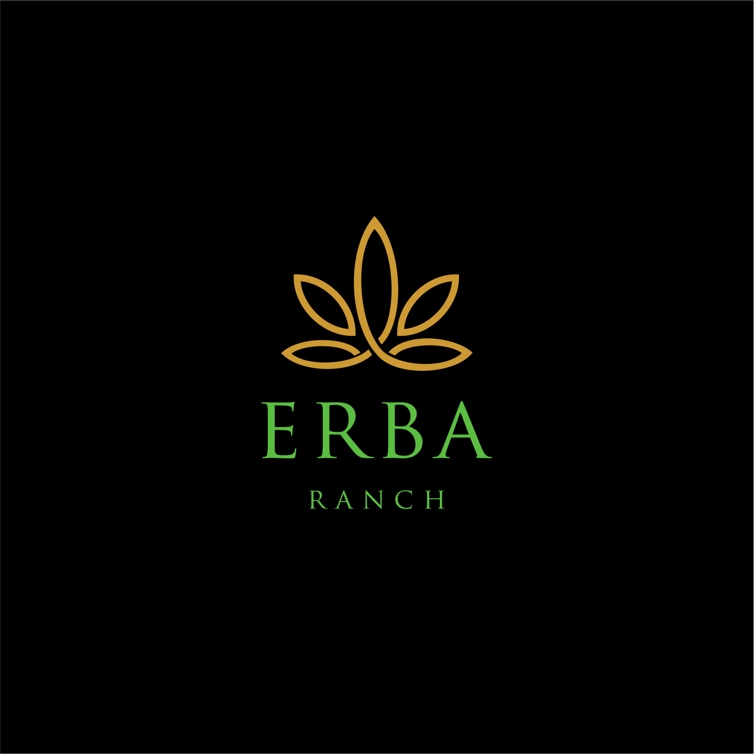 Logo Design by ThiagoB for this project | Design #29904217