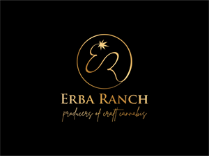 Logo Design by BNdesigner for this project | Design: #29656645