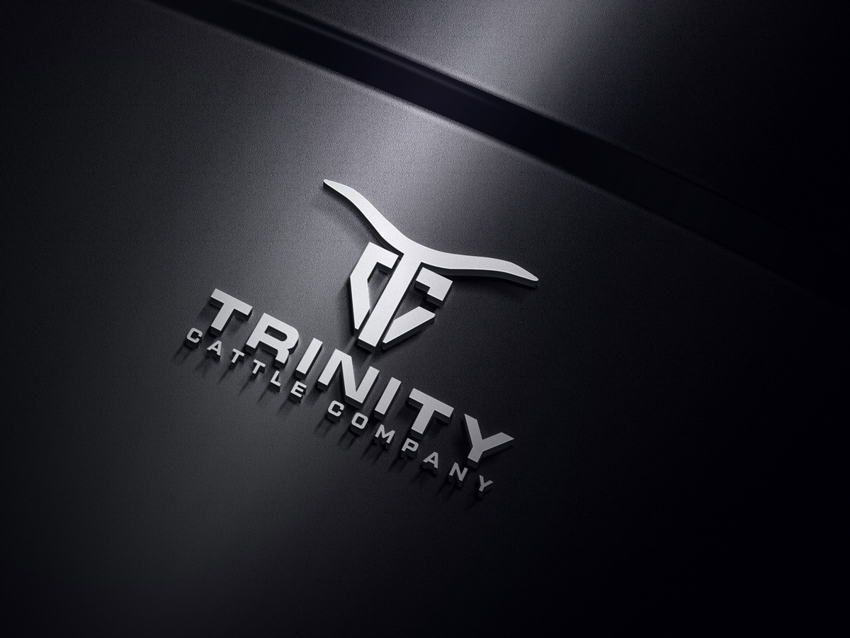 Design de Logo par ismail islam pour ce projet | Design #29647114