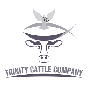 Design de Logo par LOM pour ce projet | Design #29655827