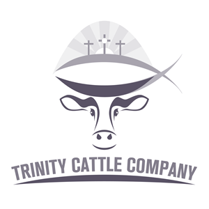 Design de Logo par LOM pour ce projet | Design : #29655828