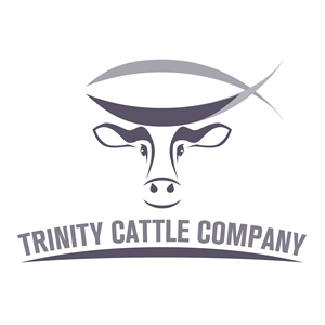 Design de Logo par LOM pour ce projet | Design : #29655829