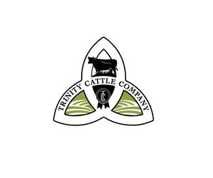 Logo Design by Terry06012023