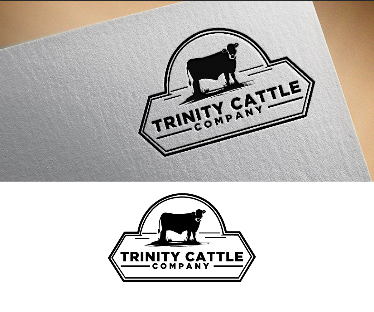 Logo Design by Ariyan Design for this project | Design #29672732