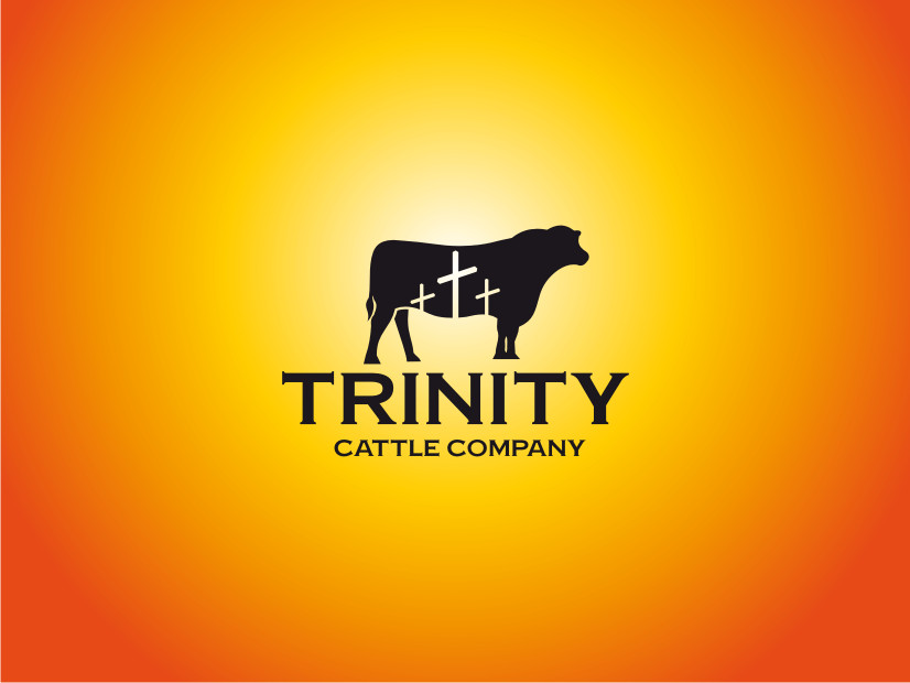 Diseño de Logo por Atvento Graphics para este proyecto | Diseño #29666745