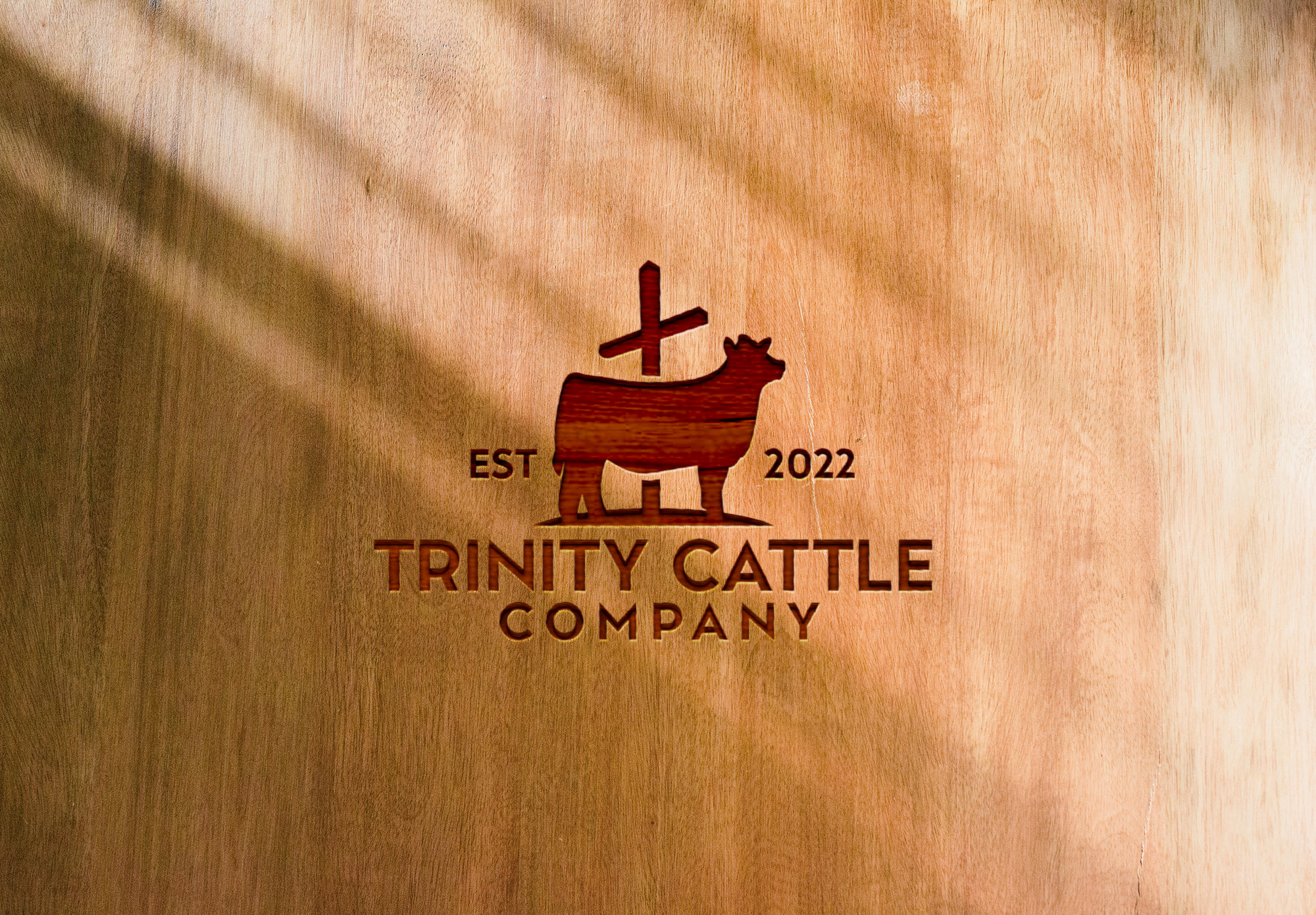 Logo Design by Solarex Corporation for this project | Design #29669482