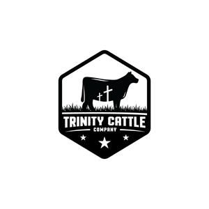 Design de Logo par Pictorial pour ce projet | Design #29648638