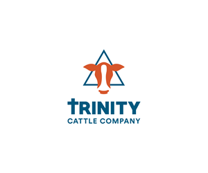 Logo Design by Alpha & Omega
