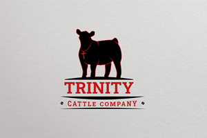 Design de Logo par Lukil Araya pour ce projet | Design : #29674209