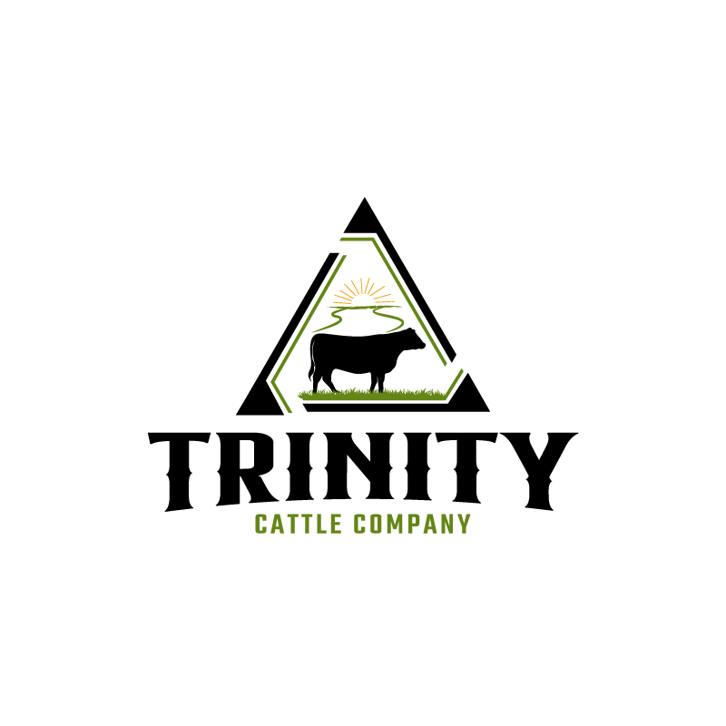Logo Design by RAMDHONU for this project | Design #29650372