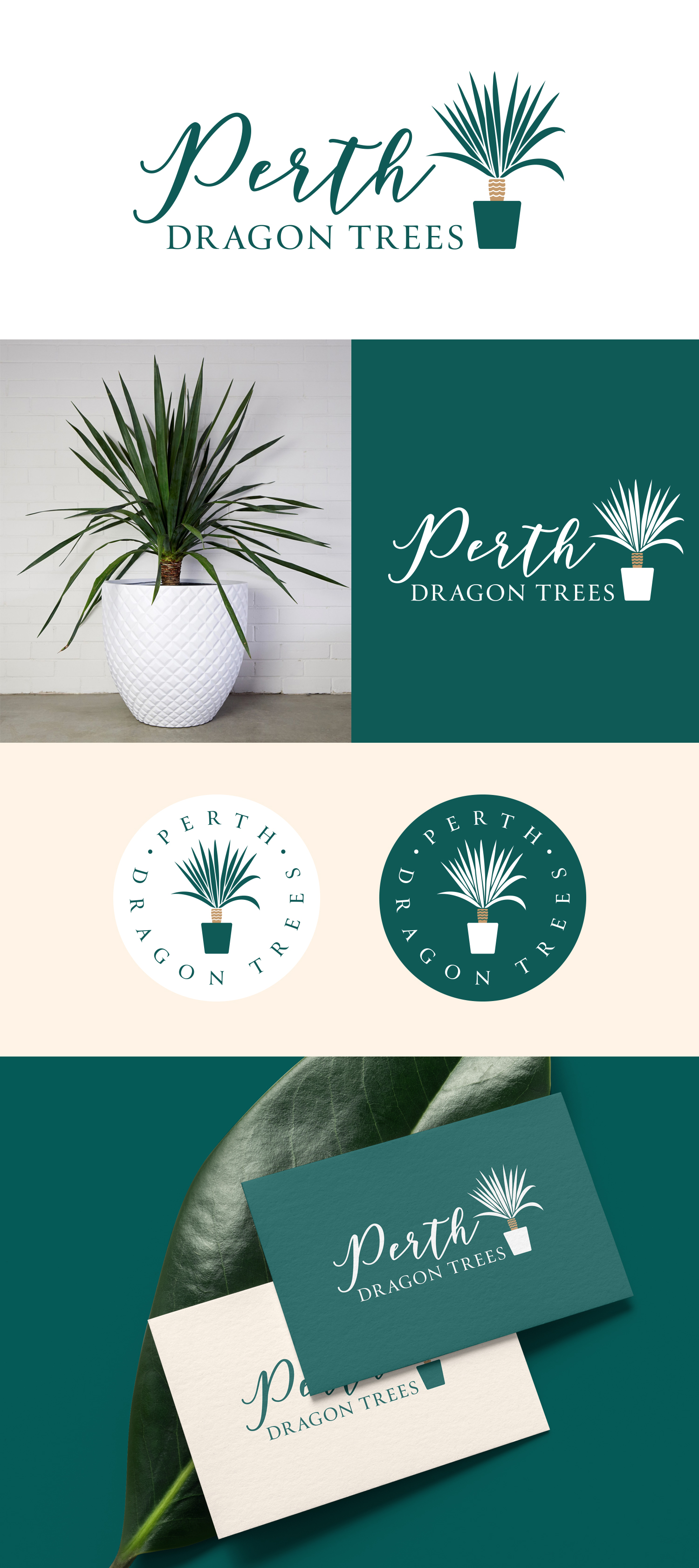 Design de Logo par designbysy pour MOLLYS TOYS | Design #29679955