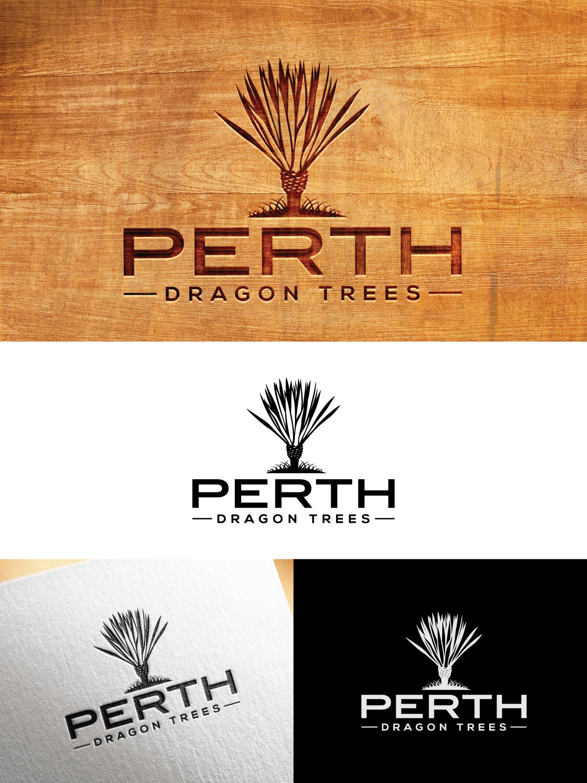 Logo Design by Dot Design 3 for MOLLYS TOYS | Design #29652535