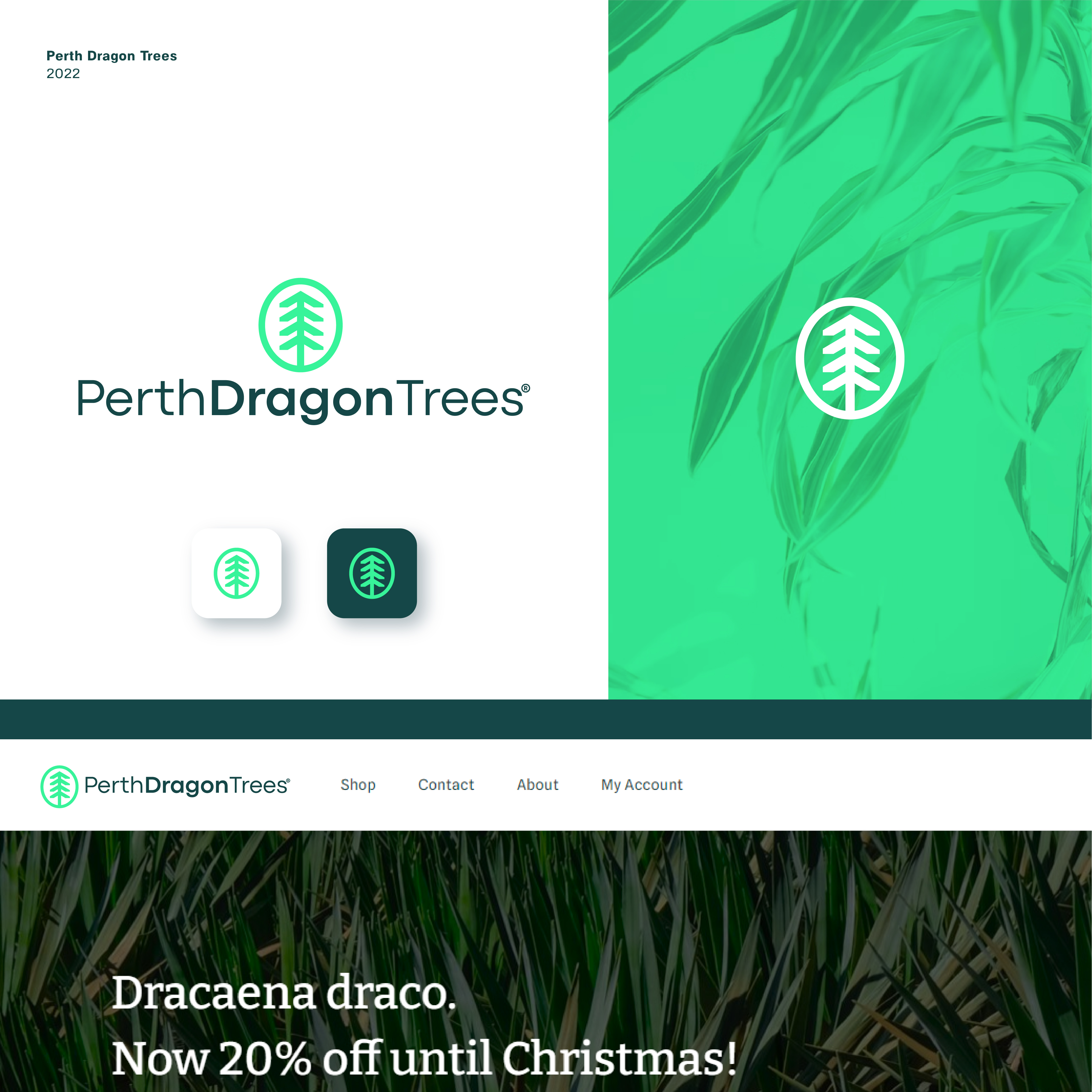 Logo Design by JBalloon Design for MOLLYS TOYS | Design #29670623