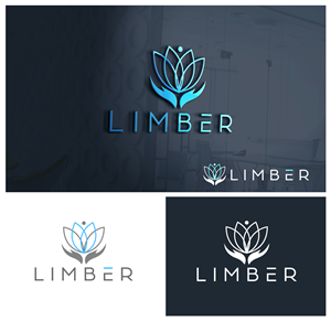Logo Design by ashantha for this project | Design: #29666850