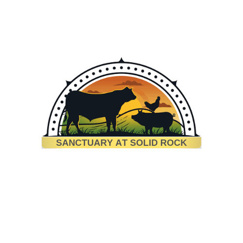 Logo-Design von Abdull Basit für SRCS | Design #29654553