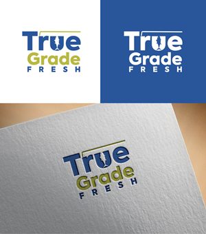 Logo Design by Alb@ri for Sinteag Ventures, Inc | Design: #29672827