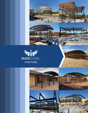Flyer-Design von A. Luiza für Ducksteel Llc. | Design: #29683445