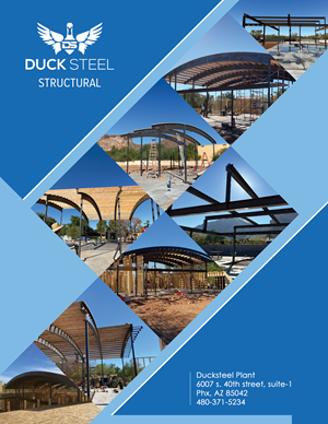 Flyer-Design von A. Luiza für Ducksteel Llc. | Design: #29683450