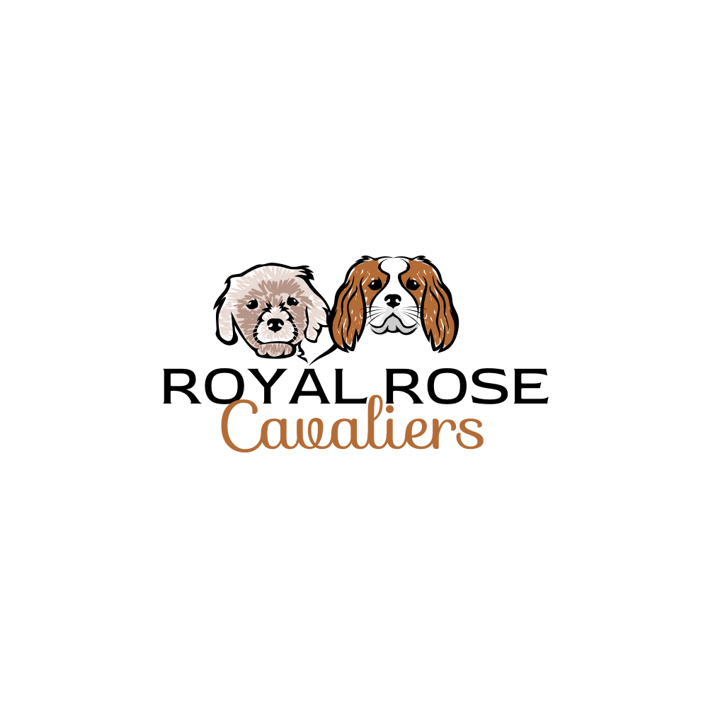 Logo Design by rgb01 for this project | Design #29719869