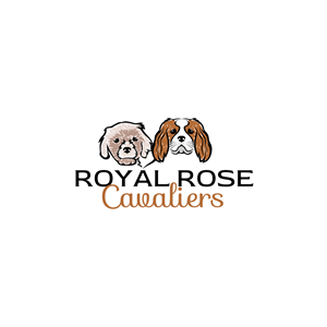 Logo Design by rgb01