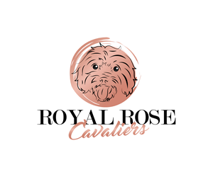 Design de Logo par Paint-Tools pour ce projet | Design : #29663090