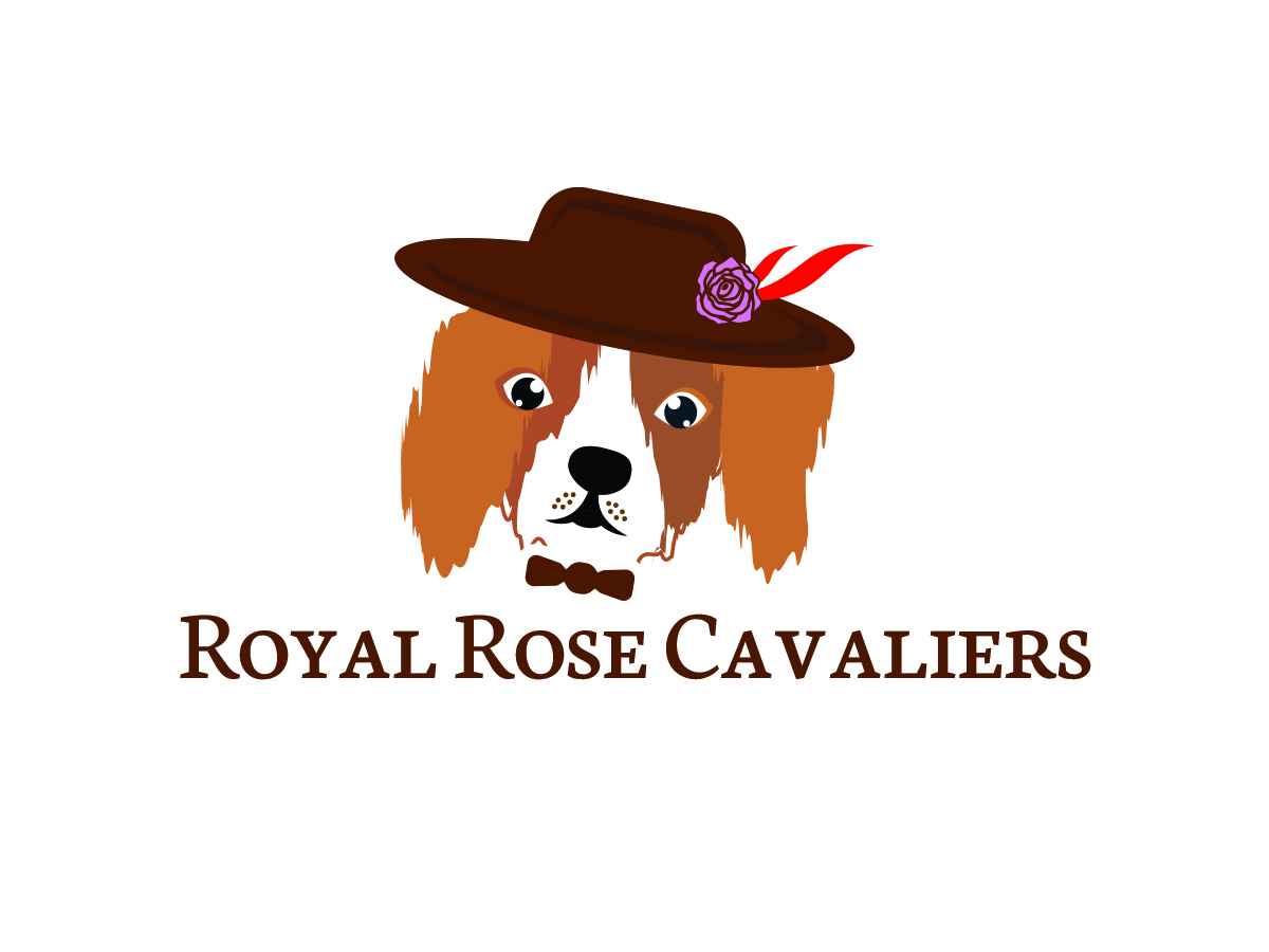 Logo Design by Sun Moon Graphic Designer for this project | Design #29668121